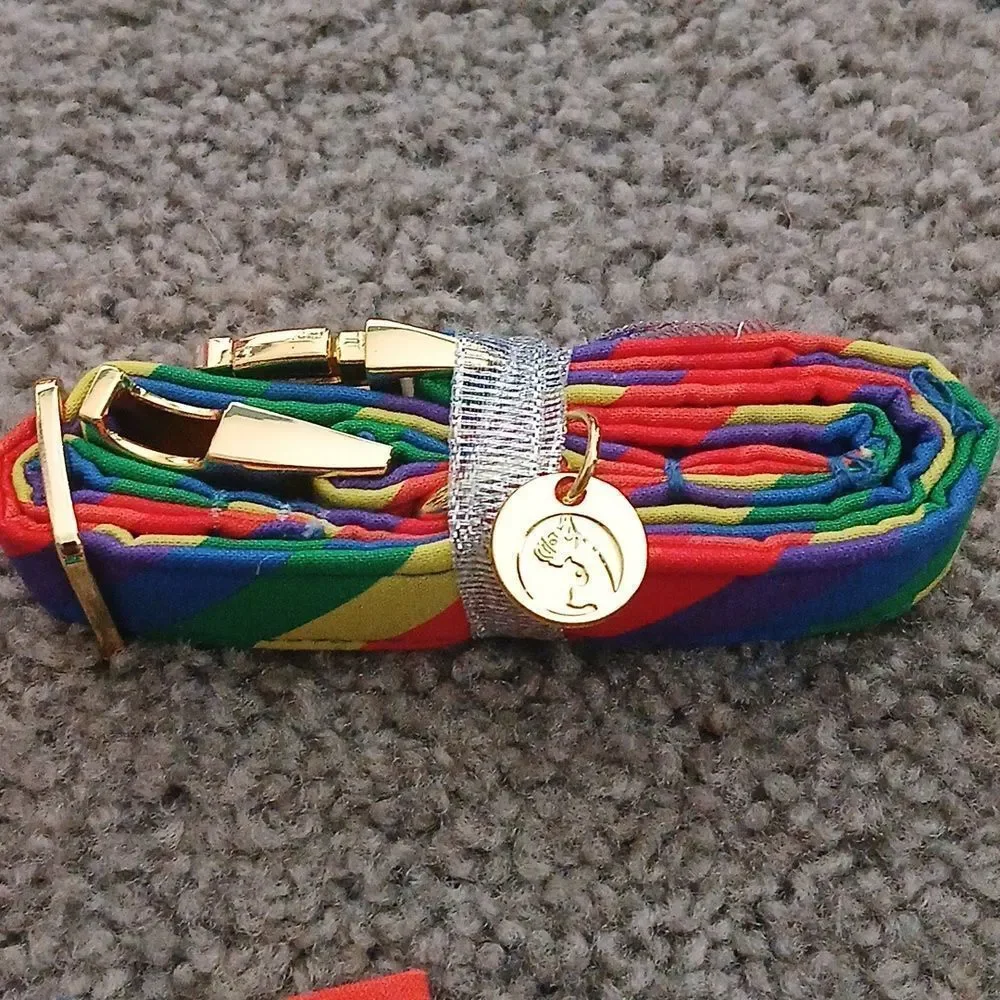 Rainbow Bright Dog Collar and dog collar attachment  NEW  Sz M